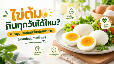 ไข่ต้มกินทุกวันได้ไหม? เปิดมุมมองใหม่เรื่องโภชนาการ ไข่ต้มกับสุขภาพที่ควรรู้