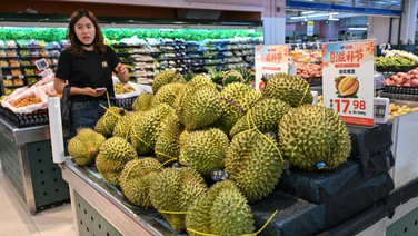 สื่อจีนจับตาไทยเสนอเก็บภาษีส่งออกทุเรียน หวั่นกระทบราคาในจีน