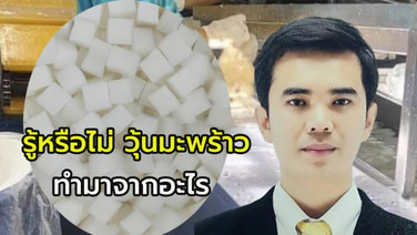 รู้หรือไม่ วุ้นมะพร้าวทำมาจากอะไร !! ทูเคอินเตอร์ฟู้ด เพิ่มมูลค่าน้ำมะพร้าวเหลือทิ้งจากมะพร้าวกะทิ สู่วุ้นมะพร้าว ออเดอร์ปีละไม่ต่ำ 7 พันตัน