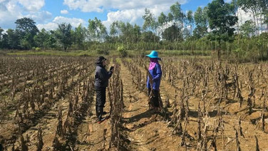 น้ำท่วมสระแก้วอ่วม! พื้นที่เกษตรเสียหายกว่า 2.4 แสนไร่ ประมงสูญกว่า 15 ล้านบาท เร่งสำรวจจ่ายเยียวยา