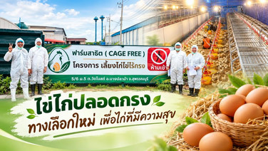 Cage-Free Farm ผนึก Lever Foundation ช่วยธุรกิจอาหารในกรุงเทพฯ เข้าถึง "ไข่ไก่ปลอดกรง" ง่ายขึ้น