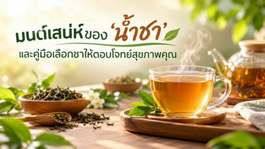 มนต์เสน่ห์ของ ‘น้ำชา’ และคู่มือเลือกชาให้ตอบโจทย์สุขภาพคุณ