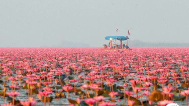 เที่ยว “พืชสวนโลก” แล้วไปต่อ กับ “10 ที่เที่ยวอุดรธานี” มีดีครบทุกมิติ