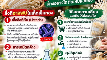 เห็ดเข็มทอง