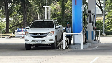 ชาวโคราชผิดหวัง! หลังรัฐลดราคาเฉพาะน้ำมัน E20-ดีเซล B20 ซัดทำไมไม่ลดราคาทุกชนิดเหมือนเวลาปรับขึ้น