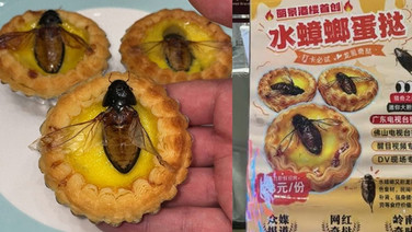 ร้านอาหารจีนผุดเมนูชวนขนลุก! ทาร์ตไข่หน้า “แมลงสาบ” เห็นแล้วแทบผงะ (มีคลิป)