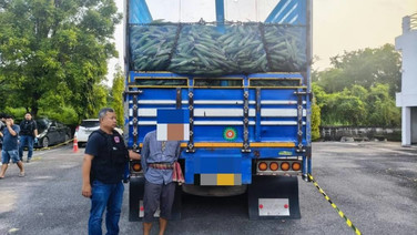 191 สกัดจับรถบรรทุกข้าวโพด หมกยาบ้า 6 ล้านเม็ด ขนจากเหนือมานนทบุรี รับค่าจ้าง 1.2 แสน