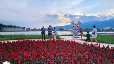 ชวนเที่ยวงาน “มนต์เสน่ห์เชียงใหม่ เมืองดอกไม้งาม” สุดอลังการไฟประดับนับล้านดวง