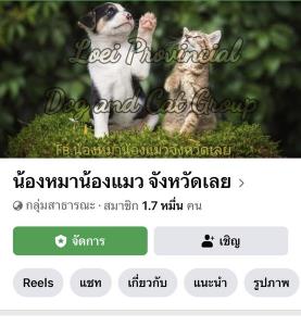 ชาวบ้านวอนช่วยหมาจรจัดหัวติดขวดพลาสติกนาน 2 ปี