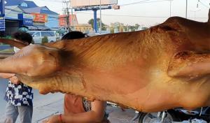วธ.เขมรประกาศห้าม “ย่างวัว” ในที่สาธารณะ หวังเอาใจอินเดีย หลังช่วยกดดันไทยปมทุบรูปปั้นพระวิษณุ