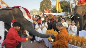 ผู้ว่าฯ อยุธยานำชาวกรุงเก่า ตักบาตรพระ 573 รูป รับศักราชใหม่ 2569 เสริมสิริมงคลเมืองมรดกโลก