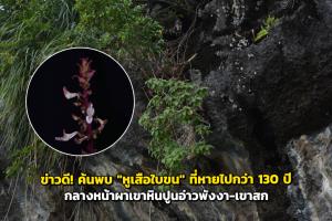 (ภาพจากเพจ กรมอุทยานแห่งชาติ สัตว์ป่า และพันธุ์พืช)