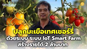 (ชมคลิป) “บ้านสวนอินนา” ปลูกมะเขือเทศเชอร์รี่ด้วยระบบ IoT Smart Farm รดน้ำ-ใส่ปุ๋ยอัตโนมัติ ลดภาระแรงงาน สร้างอาชีพและรายได้ให้เกษตรกร จ.ร้อยเอ็ด