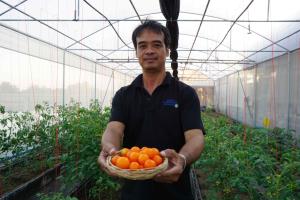 (ชมคลิป) “บ้านสวนอินนา” ปลูกมะเขือเทศเชอร์รี่ด้วยระบบ IoT Smart Farm รดน้ำ-ใส่ปุ๋ยอัตโนมัติ ลดภาระแรงงาน สร้างอาชีพและรายได้ให้เกษตรกร จ.ร้อยเอ็ด
