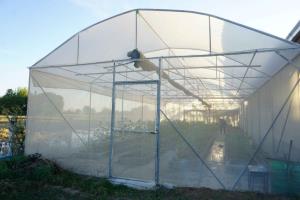 (ชมคลิป) “บ้านสวนอินนา” ปลูกมะเขือเทศเชอร์รี่ด้วยระบบ IoT Smart Farm รดน้ำ-ใส่ปุ๋ยอัตโนมัติ ลดภาระแรงงาน สร้างอาชีพและรายได้ให้เกษตรกร จ.ร้อยเอ็ด
