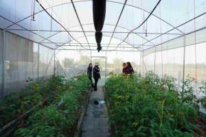 (ชมคลิป) “บ้านสวนอินนา” ปลูกมะเขือเทศเชอร์รี่ด้วยระบบ IoT Smart Farm รดน้ำ-ใส่ปุ๋ยอัตโนมัติ ลดภาระแรงงาน สร้างอาชีพและรายได้ให้เกษตรกร จ.ร้อยเอ็ด