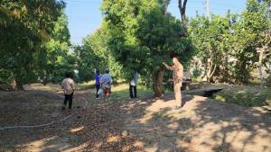 ลมหนาวหนุนลิ้นจี่สมุทรสงครามบานสะพรั่ง คาดผลผลิตทะลุ 5 พันตัน เดินหน้าดันตลาด–ท่องเที่ยวสวนผลไม้