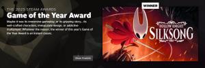 "Hollow Knight: Silksong" คว้ารางวัลเกมยอดเยี่ยมแห่งปีบน Steam