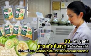 วว. เพิ่มมูลค่าสารสกัดส้มแขกพืชท้องถิ่นภาคใต้ สู่การพัฒนา “ผลิตภัณฑ์เสริมอาหารลดความอยากอาหาร”
