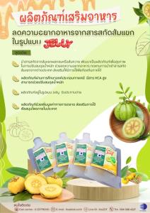 วว. เพิ่มมูลค่าสารสกัดส้มแขกพืชท้องถิ่นภาคใต้ สู่การพัฒนา “ผลิตภัณฑ์เสริมอาหารลดความอยากอาหาร”