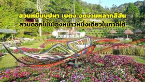 สวนหมื่นบุปผา อ.เบตง จ.ยะลา สวนดอกไม้เมืองหนาวหนึ่งเดียวในภาคใต้ (ภาพ : อโนทัย งานดี)