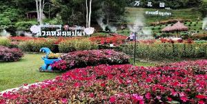 สวนหมื่นบุปผา อ.เบตง จ.ยะลา สวนดอกไม้เมืองหนาวหนึ่งเดียวในภาคใต้ (ภาพ : อโนทัย งานดี)
