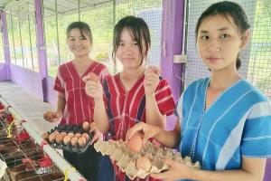 ไข่ไก่เปลี่ยนชีวิตเด็กไทย .. “ซีพีเลี้ยงไก่ไข่เพื่ออาหารกลางวันนักเรียน”