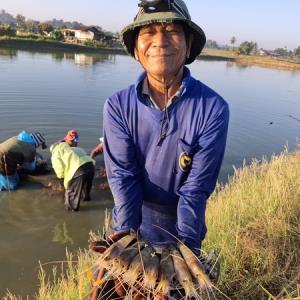 ผู้เลี้ยงกุ้งกาฬสินธุ์เฮ! รับเทศกาลปีใหม่ กุ้งขายดีเป็นประวัติการณ์รอบ 10 ปี