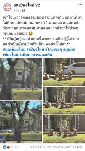 วิจารณ์เพลิน! แก๊ง นทท.ฝรั่งสาวรุ่นสุดชิล นุ่งบิกินีนอนอาบแดดอล่างฉ่างริมคูเมืองเชียงใหม่ อ้าขาหันหน้าเข้าประตูวัด