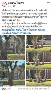 ไร้ยางอาย! รอง ปธ.สภาวัฒนธรรมเชียงใหม่รับไม่ได้แก๊ง นทท.ฝรั่งสาวนุ่งบิกีนี่นอนอ้าซ่าอาบแดดริมคูเมือง-หน้าวัด