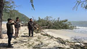 คลื่นอ่าวไทยถล่ม “หาดสามพระยา–แหลมศาลา” เขาสามร้อยยอด กัดเซาะหนัก ต้นสนอายุ 30 ปีล้มเกลื่อน