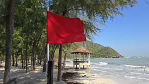 คลื่นอ่าวไทยถล่ม “หาดสามพระยา–แหลมศาลา” เขาสามร้อยยอด กัดเซาะหนัก ต้นสนอายุ 30 ปีล้มเกลื่อน