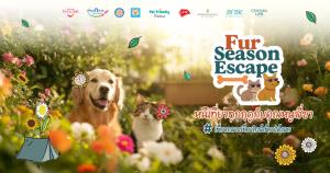 ททท. เปิดตัวโครงการ “Fur Season Escape หนีเที่ยวทุกฤดูกับคุณหนูสี่ขา” ชวนสัมผัสประสบการณ์ท่องเที่ยวแบบ Pet-friendly ระดับพรีเมียม