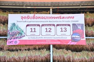 “พาณิชย์”ลุยมาตรการดันราคาหอมแดง ดูดซับผลผลิต 7 พันตัน
