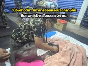 ภาพจากกรมอุทยานฯ