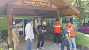 ไม่กี่เดือนร่วง 3 ตัว! พบ “นกแร้งหิมาลัย” วัยเด็กบินอพยพไม่ไหวร่วงหลังบ้านชาววังเจ้า