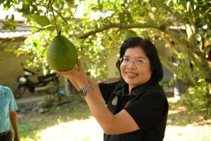 “พาณิชย์” ขึ้นทะเบียน GI รายการใหม่ “ส้มโอเวียงแก่น” จ.เชียงราย