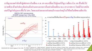 ภาพ 3