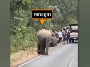 ภาพจาก อช.เขาใหญ่