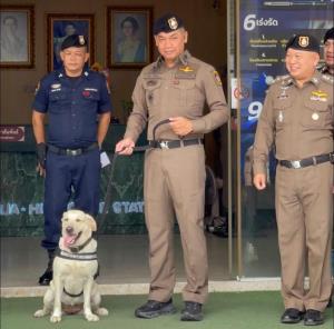 สภ.หัวหินผนึกกำลัง K9 "แพรวา" ปิดคดีฆ่าชิงทรัพย์พนักงานโรงแรม ผบก.ประจวบฯ มอบรางวัล