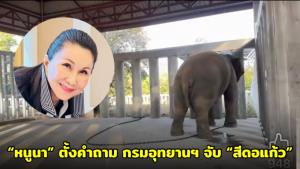 “หนูนา” ตั้งคำถาม กรมอุทยานฯ จับ “สีดอแก้ว” ขังคอกแคบ-ล่ามโซ่ เพื่อแก้ปัญหาคน หรือซ้ำเติมสัตว์ป่า