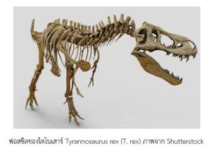 (VDO Clip) วิวัฒนาการของความรู้บางส่วนที่เกี่ยวกับ “ไดโนเสาร์”