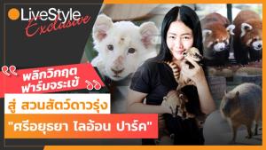 พลิกวิกฤตฟาร์มจระเข้ สู่สวนสัตว์ดาวรุ่ง "ศรีอยุธยา ไลอ้อน ปาร์ค" [มีคลิป]