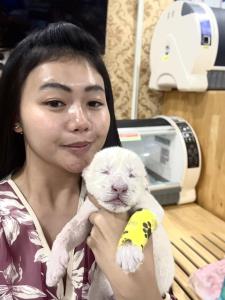 พลิกวิกฤตฟาร์มจระเข้ สู่สวนสัตว์ดาวรุ่ง "ศรีอยุธยา ไลอ้อน ปาร์ค" [มีคลิป]