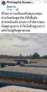 ชาวบ้านชายแดนผวา กระแส ลักลอบขนมันสำปะหลังข้ามชาติ จากกัมพูชาเข้าไทย ทำราคาตกวูบ เกษตรกรไทยพังซ้ำ วอนนายทุนโรงแป้งหยุดฉวยโอกาส