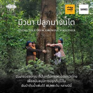 กระแสตอบรับดีเกินคาด!! กับแคมเปญ “มีวนา ปลูกมาจนโต MiVana Living Together, Growing Together” ปลูกป่า 40,000 ต้น ลด PM 2.5