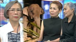 กลุ่มคนรักช้าง จวก “อธิบดีกรมอุทยานฯ” ผิดพลาดร้ายแรง สงสัยให้ยาเกินขนาดจนช้าง “สีดอหูพับ” จบชีวิตสลด!