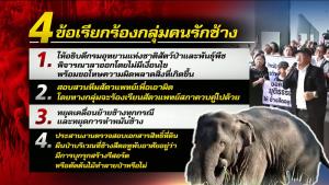 กลุ่มคนรักช้าง จวก “อธิบดีกรมอุทยานฯ” ผิดพลาดร้ายแรง สงสัยให้ยาเกินขนาดจนช้าง “สีดอหูพับ” จบชีวิตสลด!