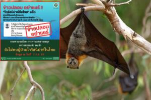 สยบข่าวลือ! ศิริราช-กรมควบคุมโรคยันชัด "ไวรัสนิปาห์" ยังไม่ถึงไทย ที่แท้แค่ไข้หวัด