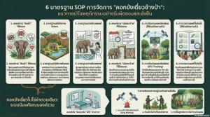 คอกขังเดี่ยวช้างป่า แก้ปัญหาคนฆ่าช้าง ช้างฆ่าคน ได้จริงหรือไม่?